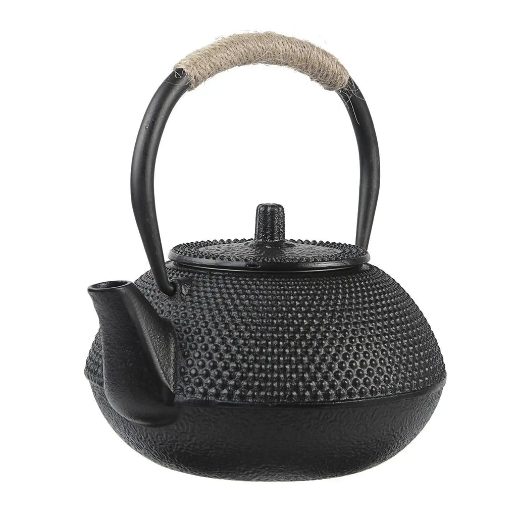 Théière Japonaise en Fonte — Style Tetsubin Antique avec Filtre Intégré