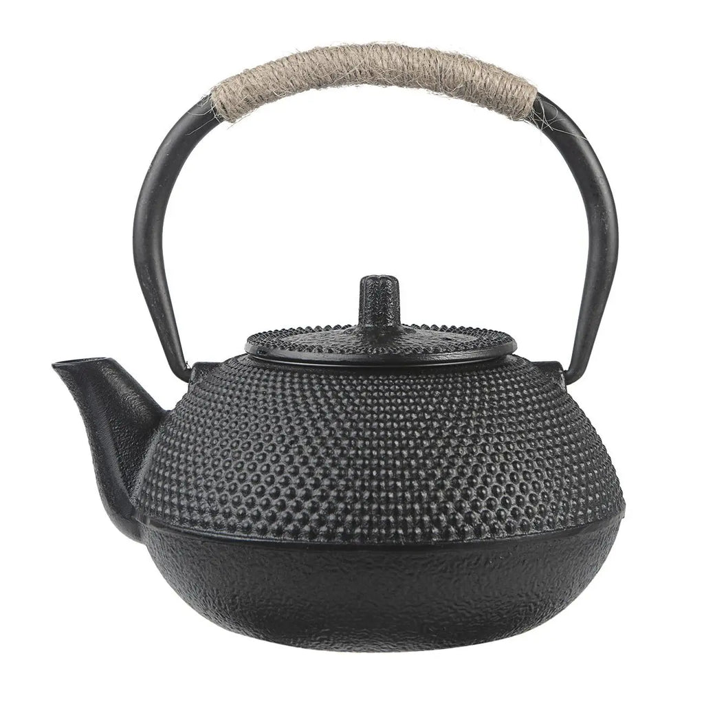 Théière Japonaise en Fonte — Style Tetsubin Antique avec Filtre Intégré